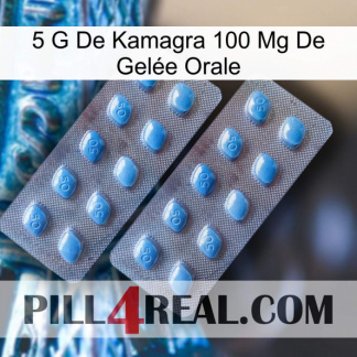 5 G De Kamagra 100 Mg De Gelée Orale viagra4